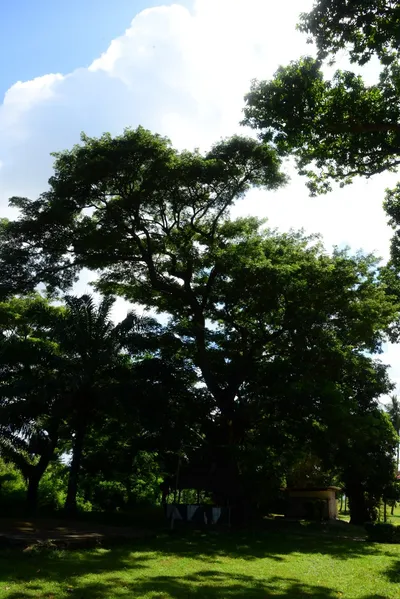 DSC_7944 (Large).JPG